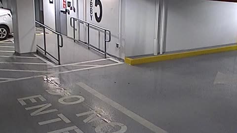 6080RHOBG3G305ANorthLobbyEntry_2021-01-06_18h00min03s603ms.mp4