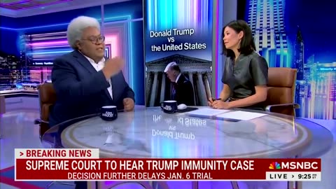 RIDICULOUS: MSNBC Guest Thinks The Democrats Should 'Stop' The Supreme Court