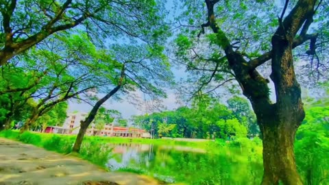 Natural beautiful video
