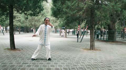 Old Man Doing ' Tai Chi' Exercise