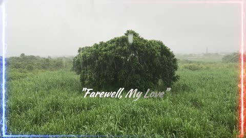 Farewell, My Love