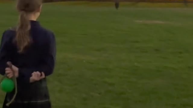 Will He Knock HerDown?