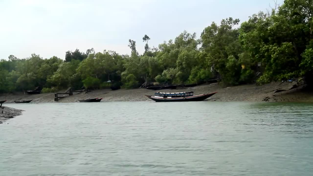 Most Beautiful Scene of World Largest Delta . #Sundarban#