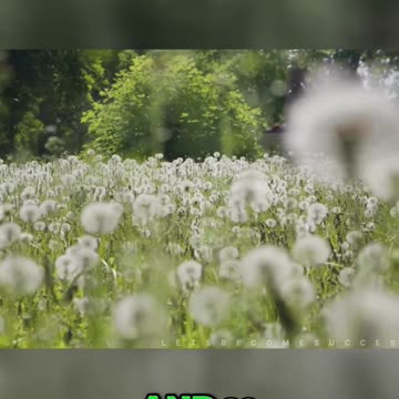 Unleashing Courage: Finding Purpose Amidst Life's Struggles