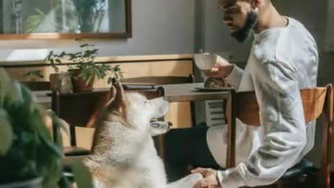 beautiful dog ouse. human beings at. home. Jamiel. Video. Happy pictures. Expressive