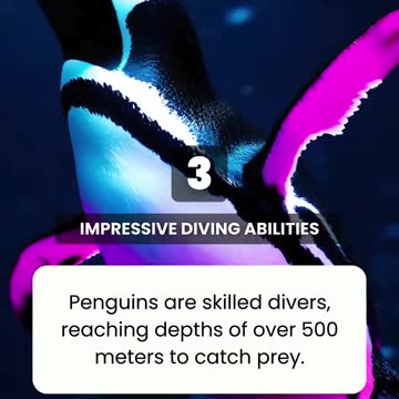 5 Most Surprising Facts About Penguins 🐧