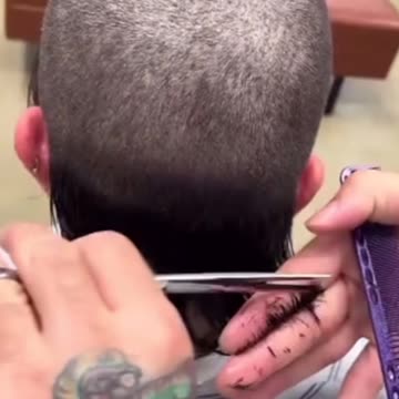 The Chelsea Cut - There Is No Future