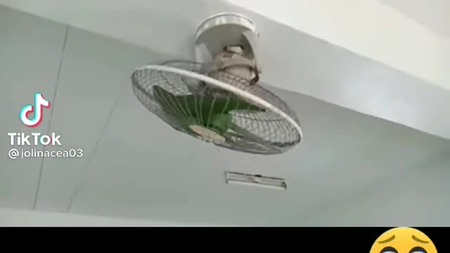 For sale electric fan.. 😂