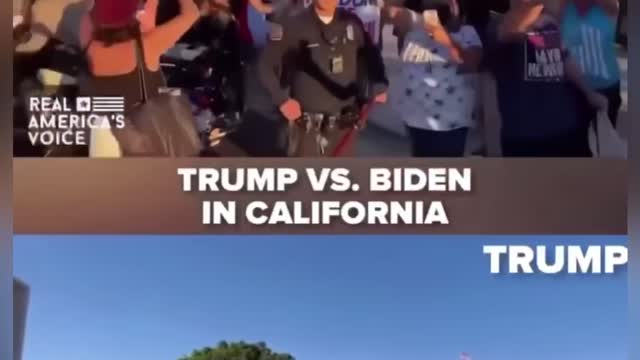 Trump vs Biden support