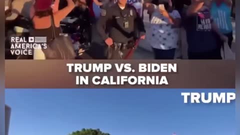 Trump vs Biden support