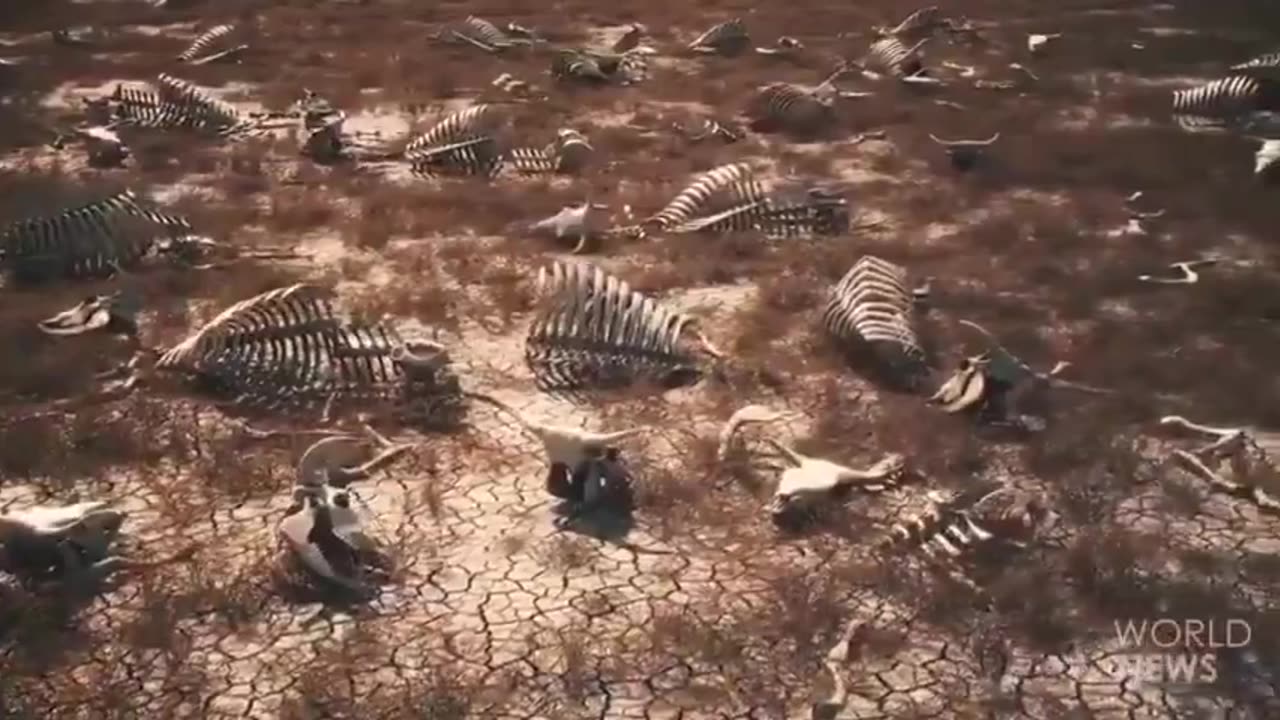 Beyond The Reset - What will life be like if you survive the first round of culling (worth watching)
