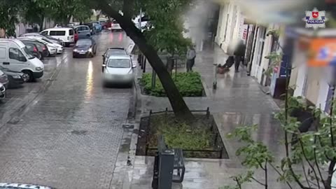 Dog lands on woman after jumping out of window