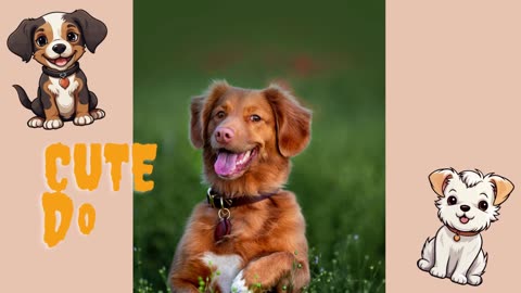 Cute Dogs