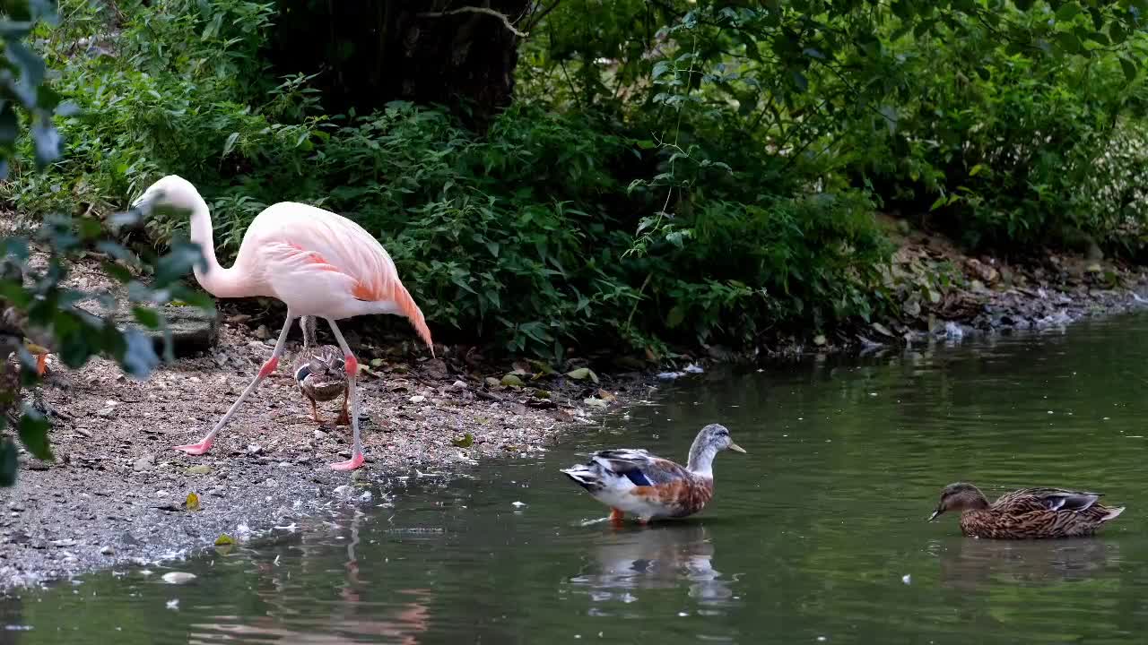 Naturaleza maravilloso