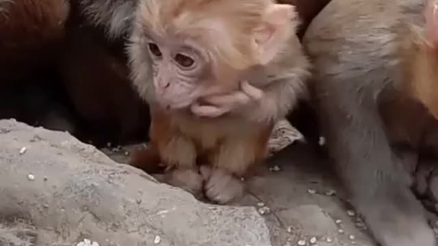 Parents are in charge