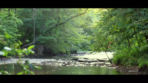 small creek at Vickery Creek