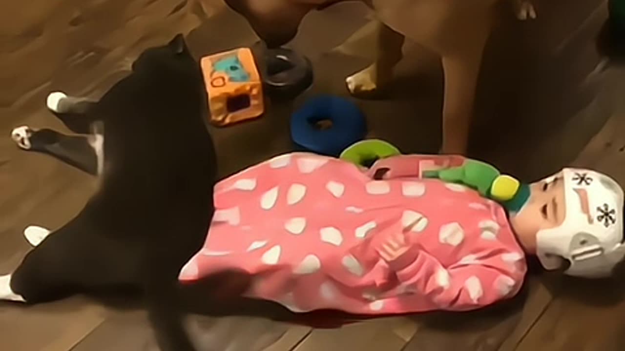 ππππ
Very funny video watch end