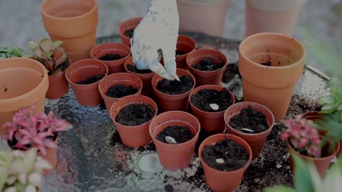 Woman Planting