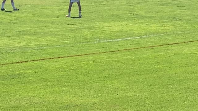 Magpie Gets Rowdy During Rugby