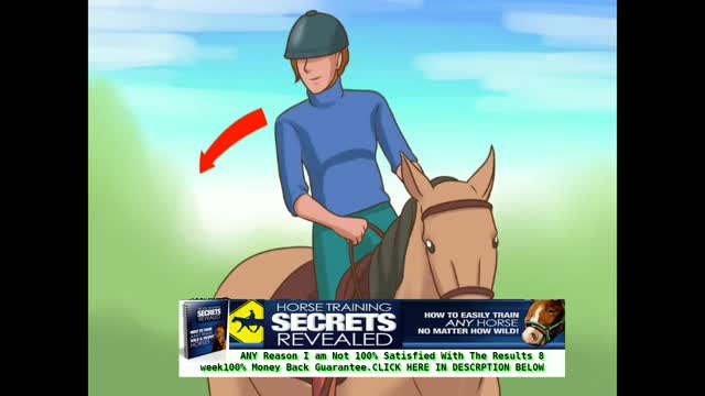 horse training