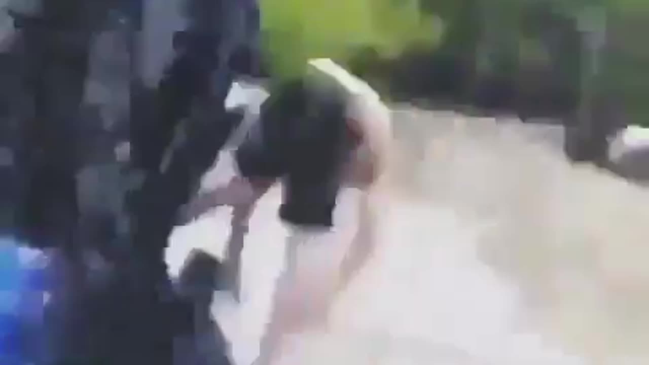 Who Talked Him Into This