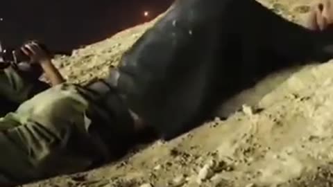 Taking cover as the war heats up....