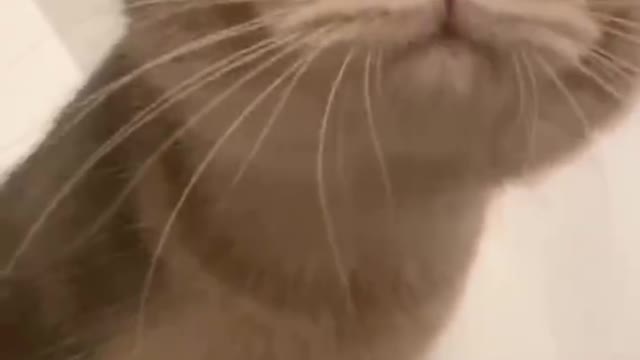Scratch me