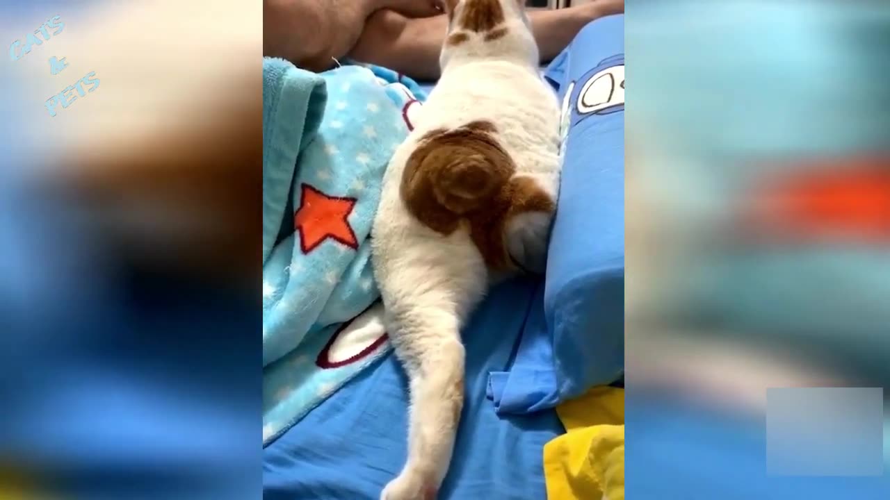 Have fun with the compilation of Funny fails 2024