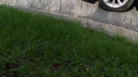 PT2 THE CHINESE COMMUNIST PARTY WANTS TO REWRITE THE BIBLE... BLASPHEMY WOE TO MOAB!!!!