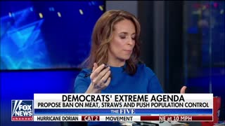 "The Five" continue reacting to Democrats