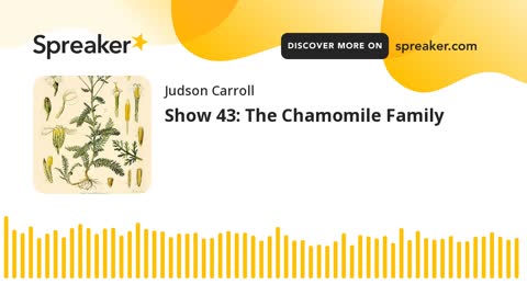 Show 43: The Chamomile Family (part 2 of 3)