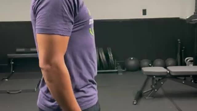 8 Actions Of The Scapula From Stabil FIT Life #StabilFITLife