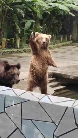 Been laughing on this the whole day 🤣