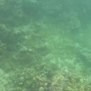 Snorkeling Day 🐠💙