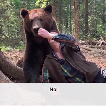 Bear Refuses To Eat Big Mac from McDonalds!