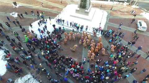 Dinosaur Takeover at Monument Square