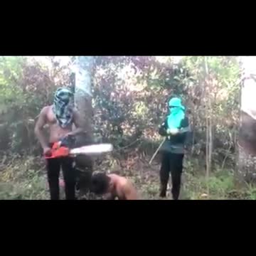 *WARNING* cartel chainsaw violence