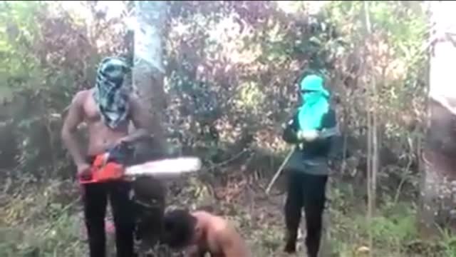 *WARNING* cartel chainsaw violence