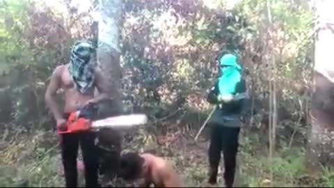 *WARNING* cartel chainsaw violence