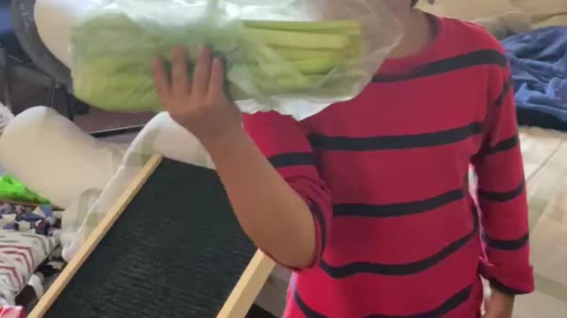 EAT YOUR CELERY !!!