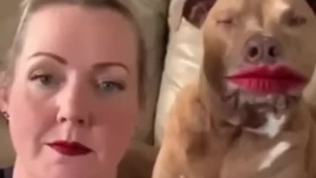 Dog and women funny video 🤣🤣🤣