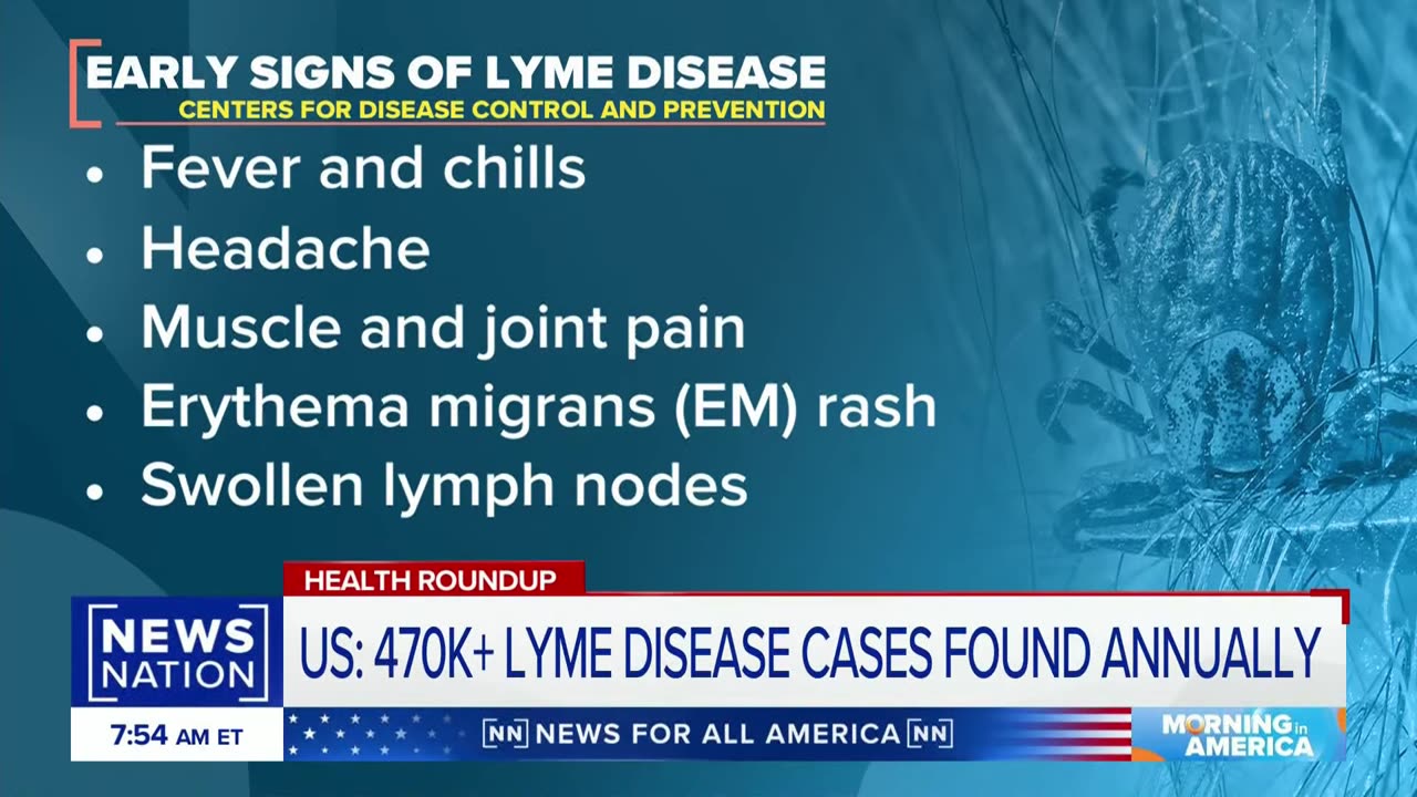 Humid weather post-Debby brings rise in mosquito-borne illnesses | Morning in America