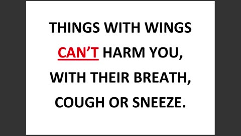HARMFUL THINGS WITH WINGS ??????