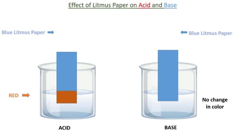 Acid and base litmus paper experiment