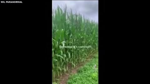 they are deliberately createing food shortages in order to take control of our lives
