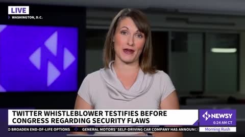 Whistleblower Testifies Before Congress Over Security Flaws