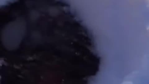 Cryptid Found Frozen in Ice Norway 2024