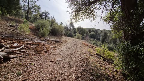 Exploring Granite Springs