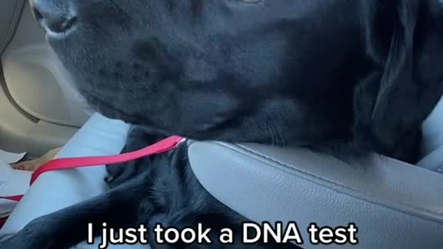 I just look in DNA Test