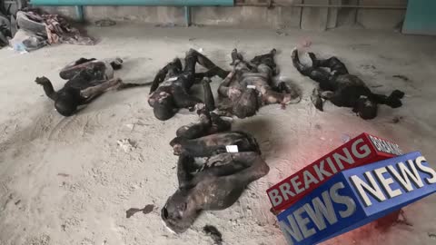 GRAPHIC: Dead Marines of the Armed Forces of Ukraine